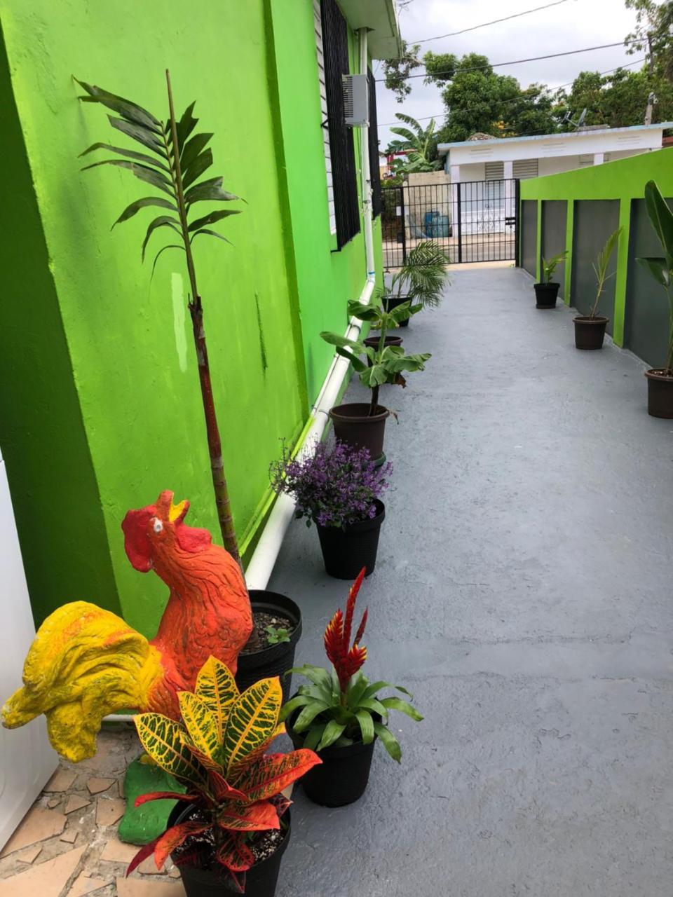 Vieques Good Vibe Guest House Екстериор снимка